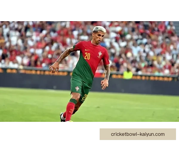 德甲转会窗口观察：各队阵容调整趋势值得关注