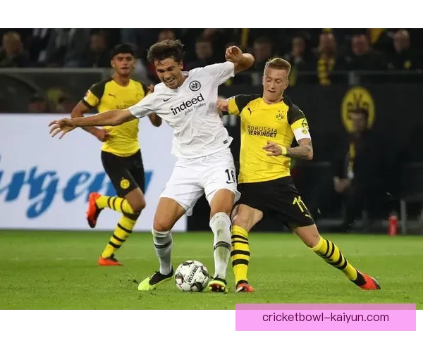 费耶球员近期表现稳健，展现出良好的竞技状态与竞争力。